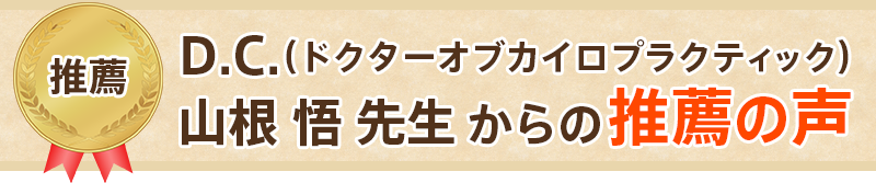 D.C.(ドクターオブカイロプラクティック)山根悟先生からの推薦の声